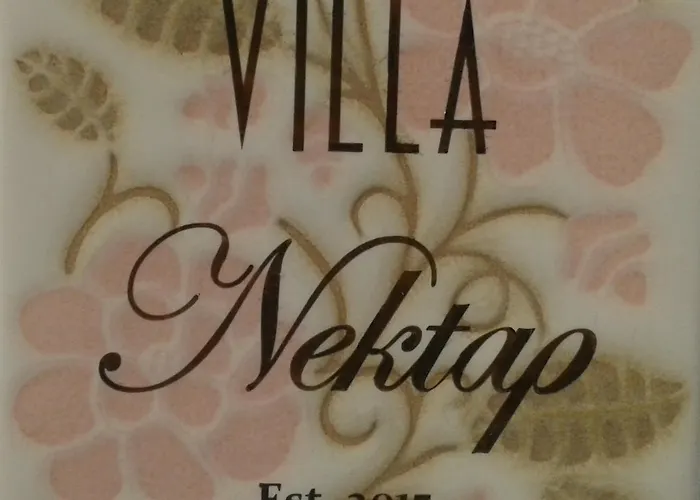 Nektar, Luxury In Chora Naxos